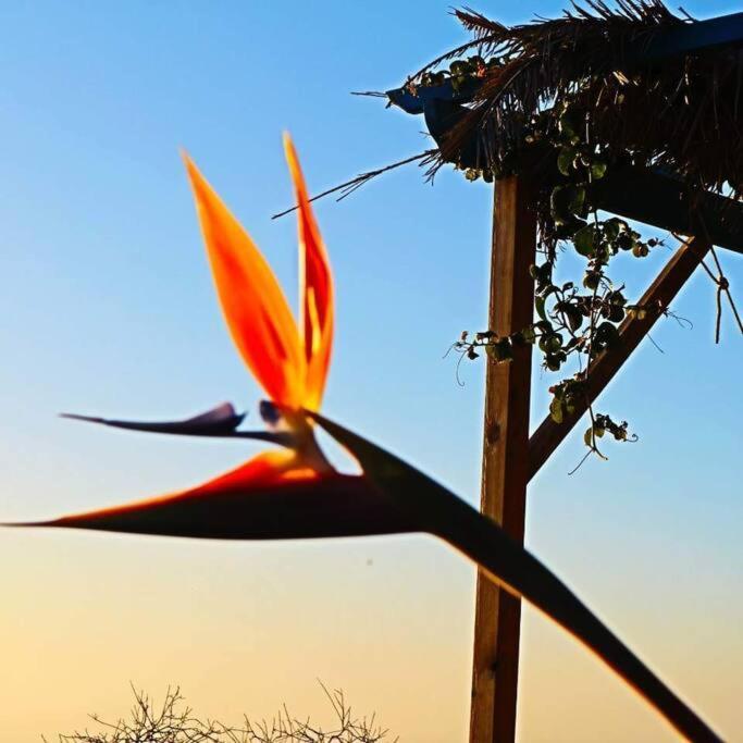 Casita En El Campo Con Vista Al Oceano Villa Tijarafe Dış mekan fotoğraf