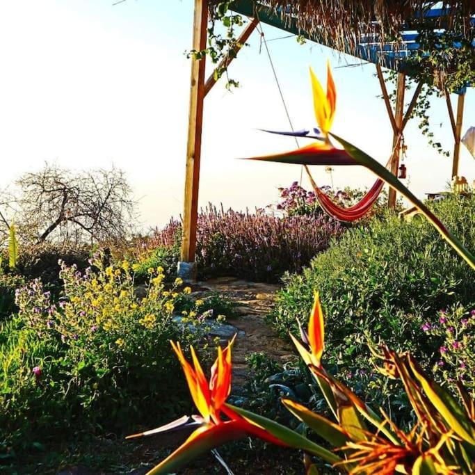 Casita En El Campo Con Vista Al Oceano Villa Tijarafe Dış mekan fotoğraf