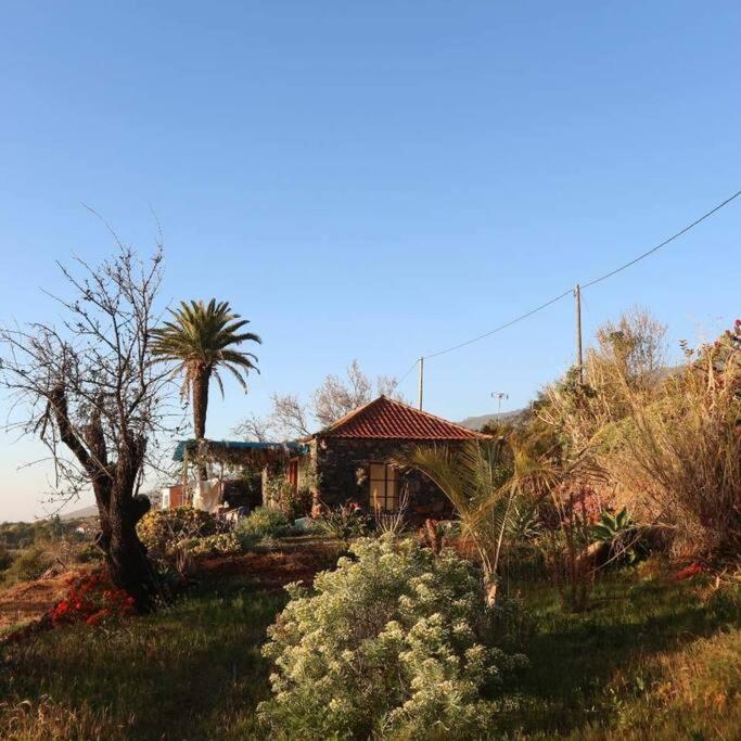 Casita En El Campo Con Vista Al Oceano Villa Tijarafe Dış mekan fotoğraf